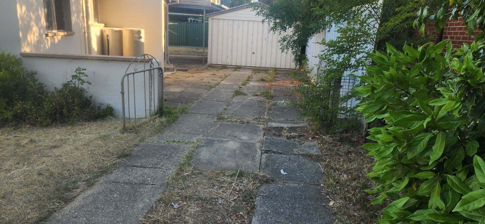 Concrete Pathway Leading to A Shed, Overgrown with Weeds — Carro's Property Maintenance in Gungahlin, ACT