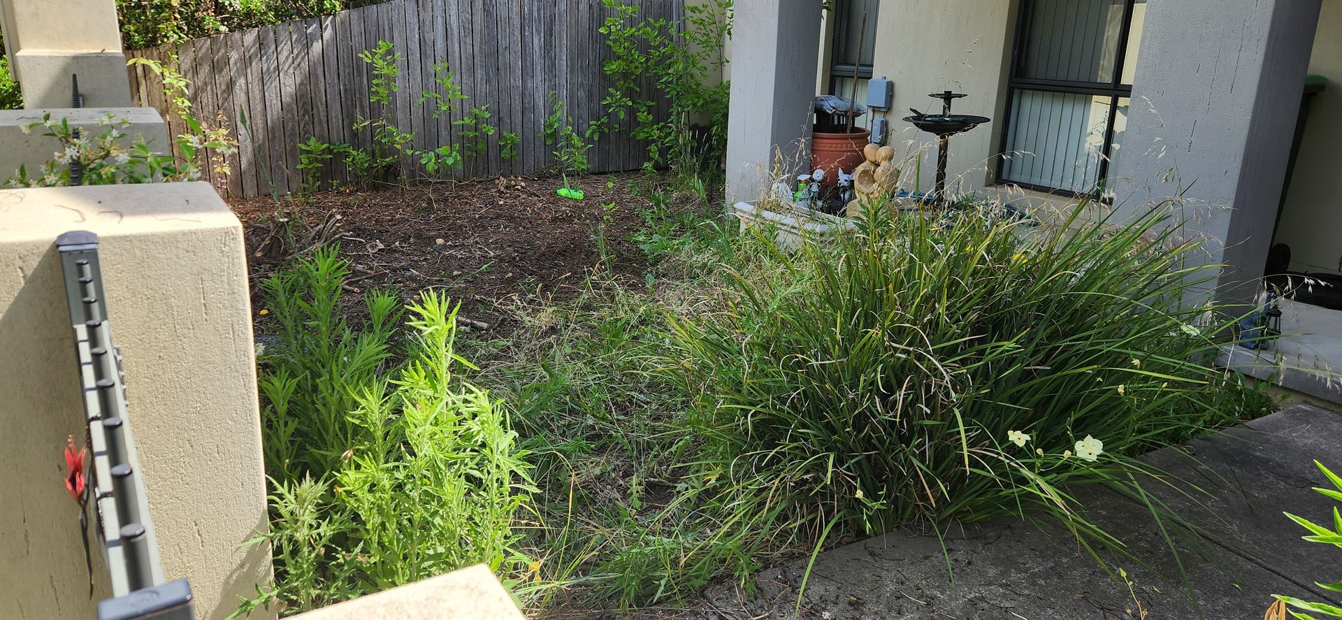 A Front Yard Garden with Overgrown Weeds and Grass — Carro's Property Maintenance in Weston Creek, ACT