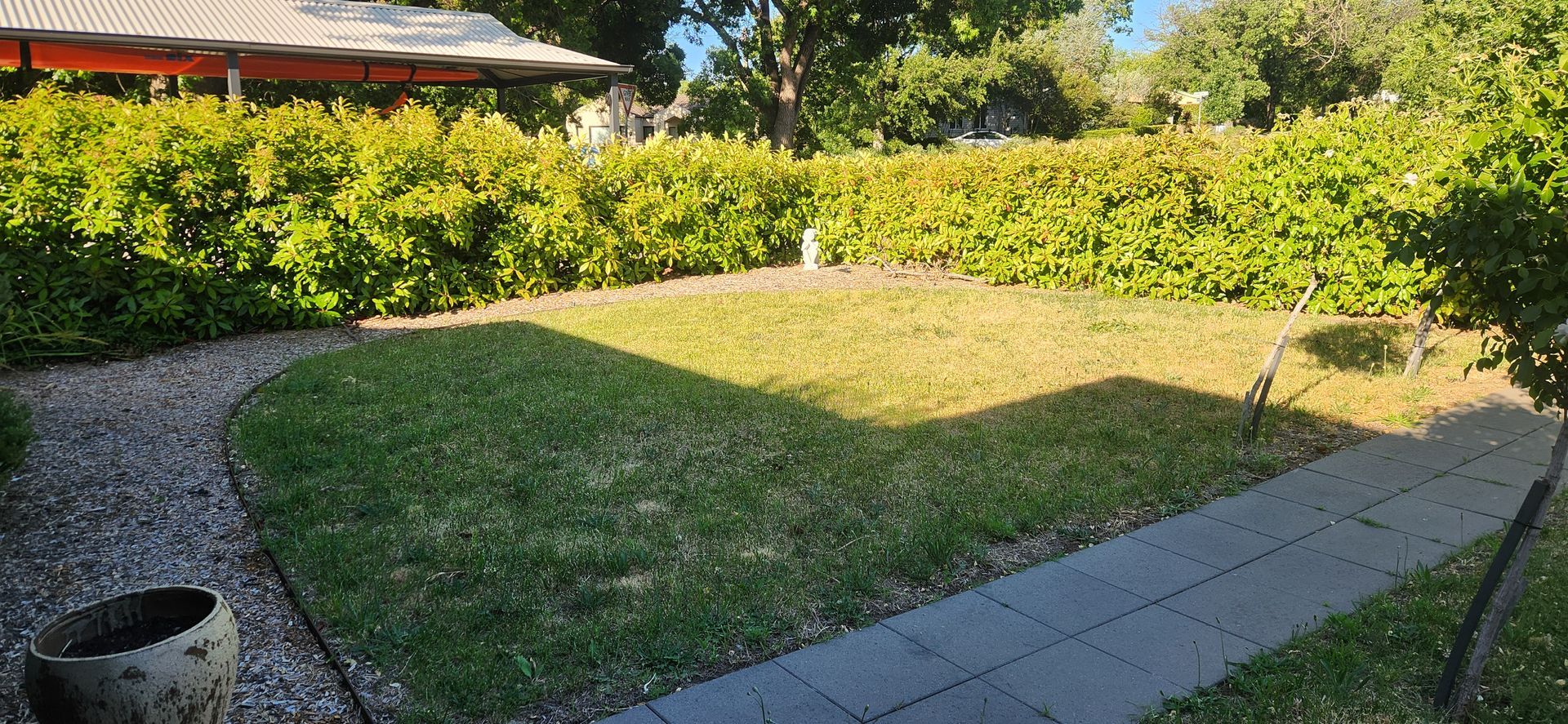 A Grassy Backyard with Hedges and A Stone Path — Carro's Property Maintenance in Queanbeyan, ACT