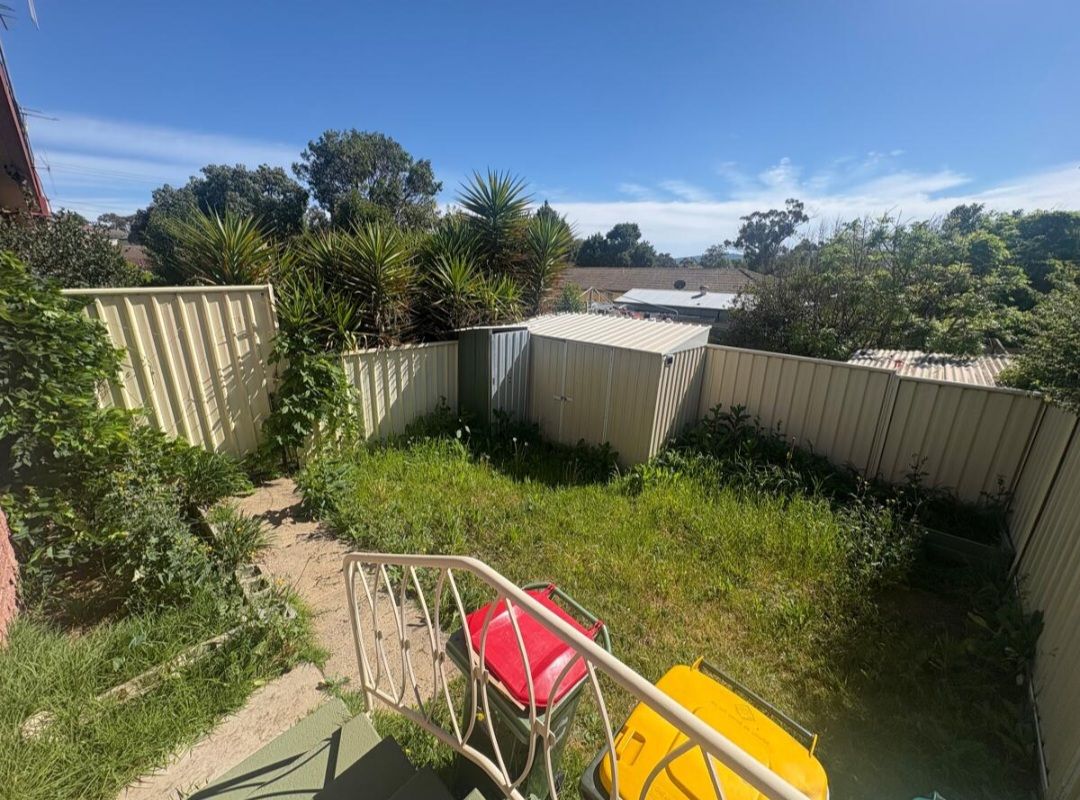 Backyard with Overgrown Grass, Shed, and Yellow and Red Trash Cans — Carro's Property Maintenance in Fyshwick, ACT