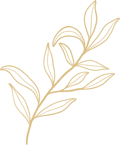 A drawing of a branch with leaves on a white background.