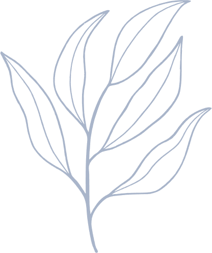 A drawing of a leaf with a stem and leaves on a white background.