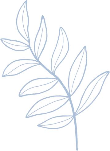 A drawing of a green leaf on a white background.