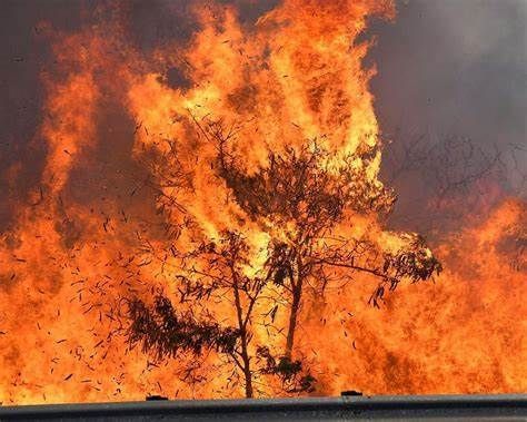 HAWAIIAN ISLAND MAUI IN FIRE