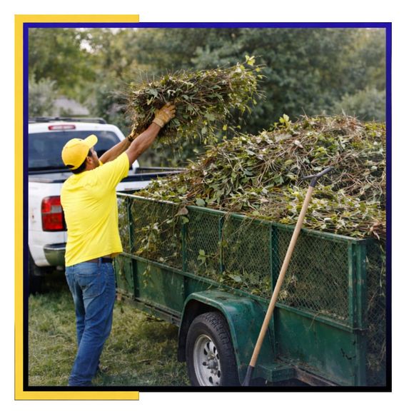 discarded junk placed on the road