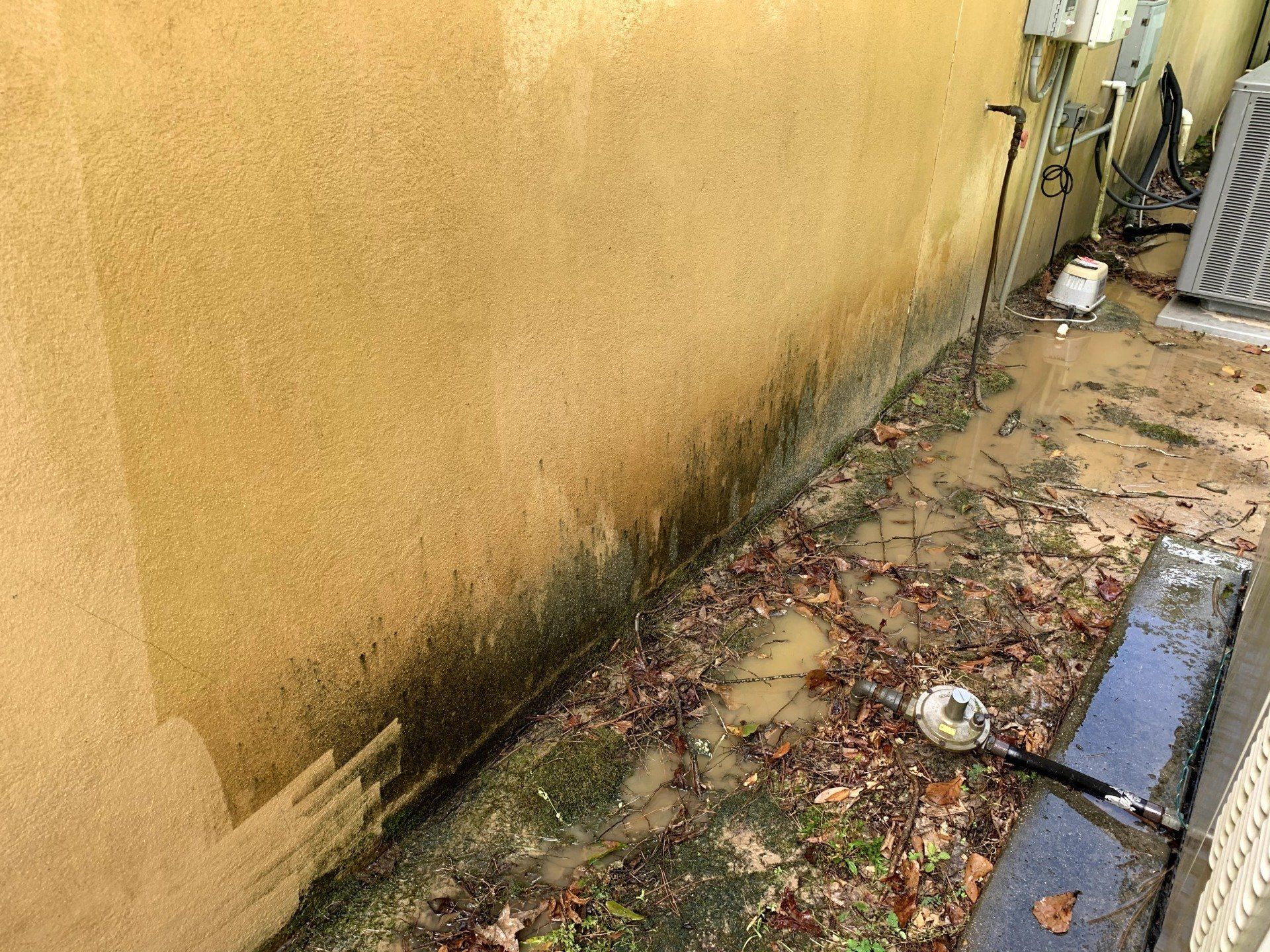 A dirty sidewalk next to a wall with a lot of leaves on it.