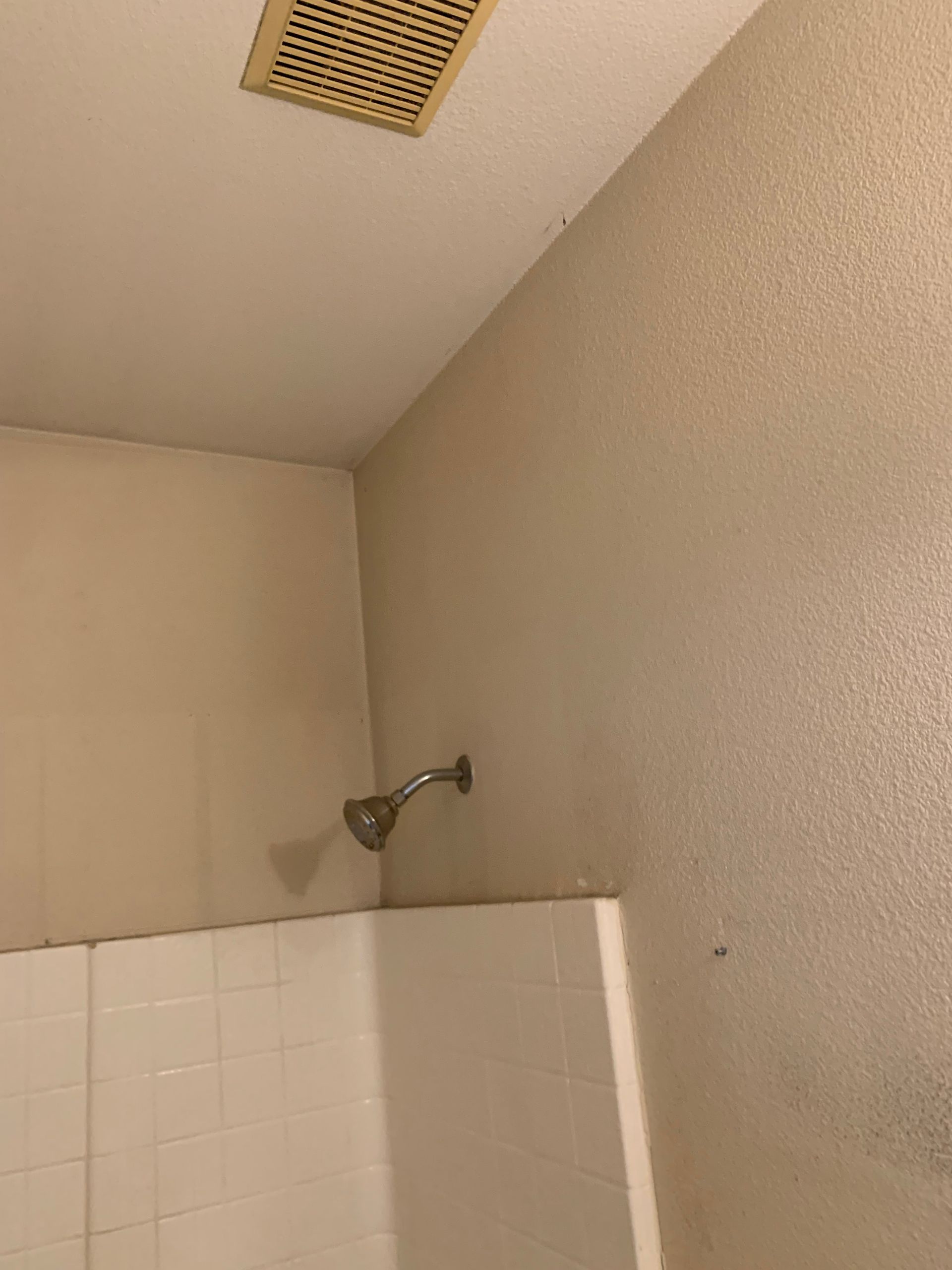A bathroom with a shower head and a ceiling fan.