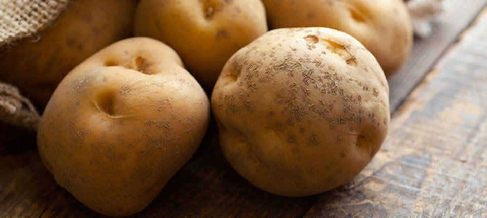 potato supply