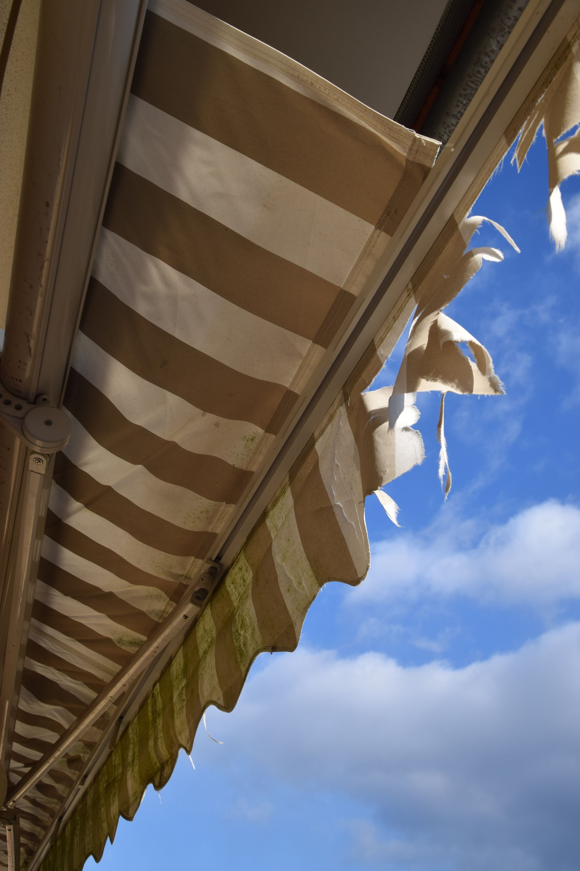 Professional for Your Roof Awning Repairs
