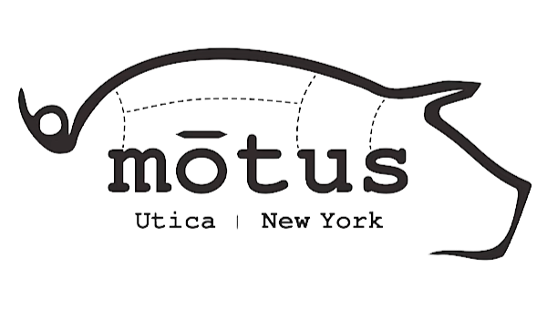 Motus logo