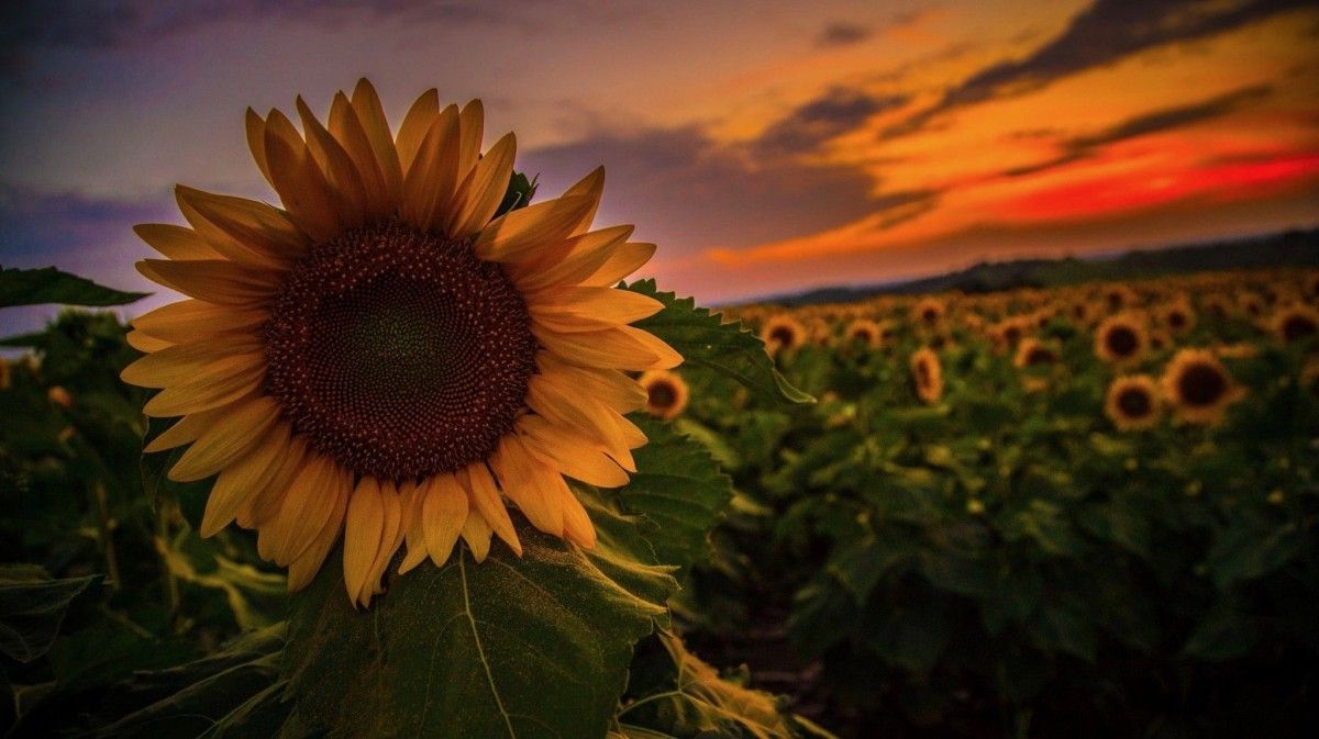 Location Scouting 29