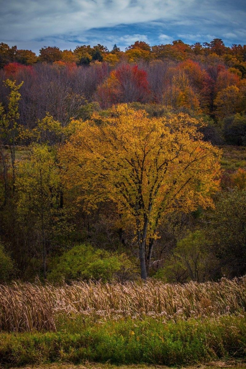 Location Scouting 31