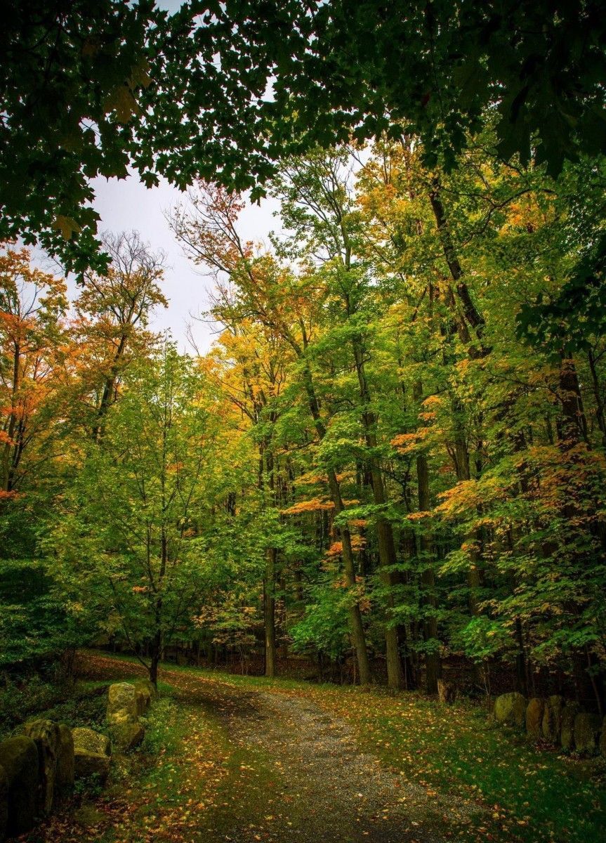 Location Scouting 40