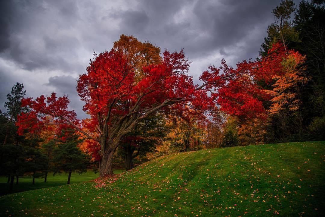 Location Scouting 41