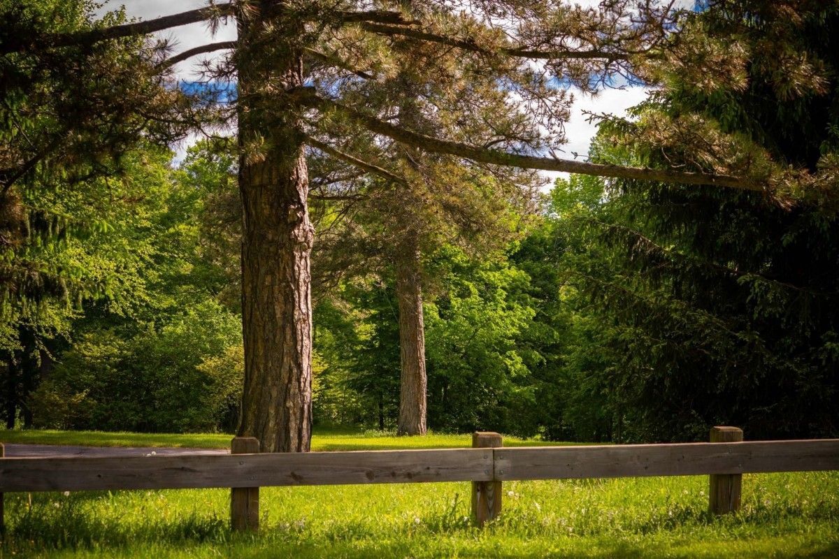 Location Scouting 47