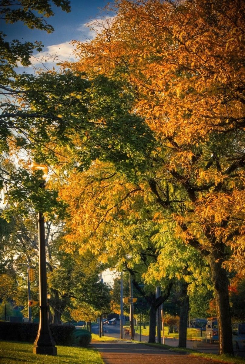 Location Scouting 51