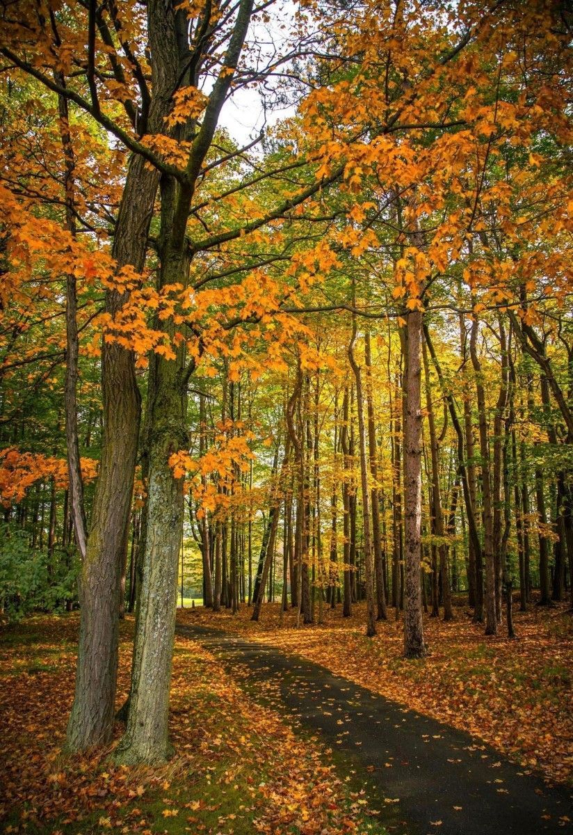 Location Scouting 59