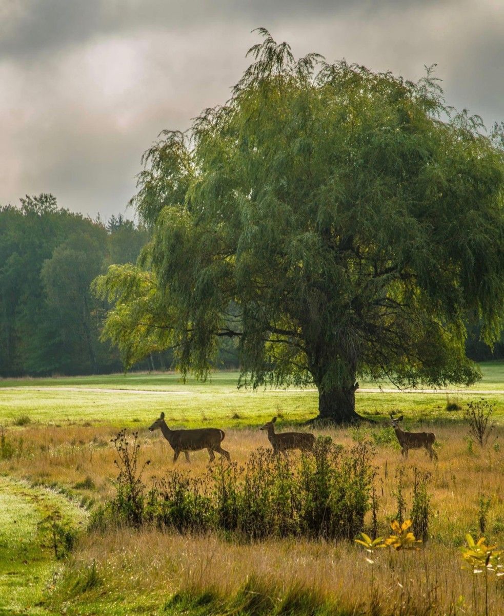 Location Scouting 61