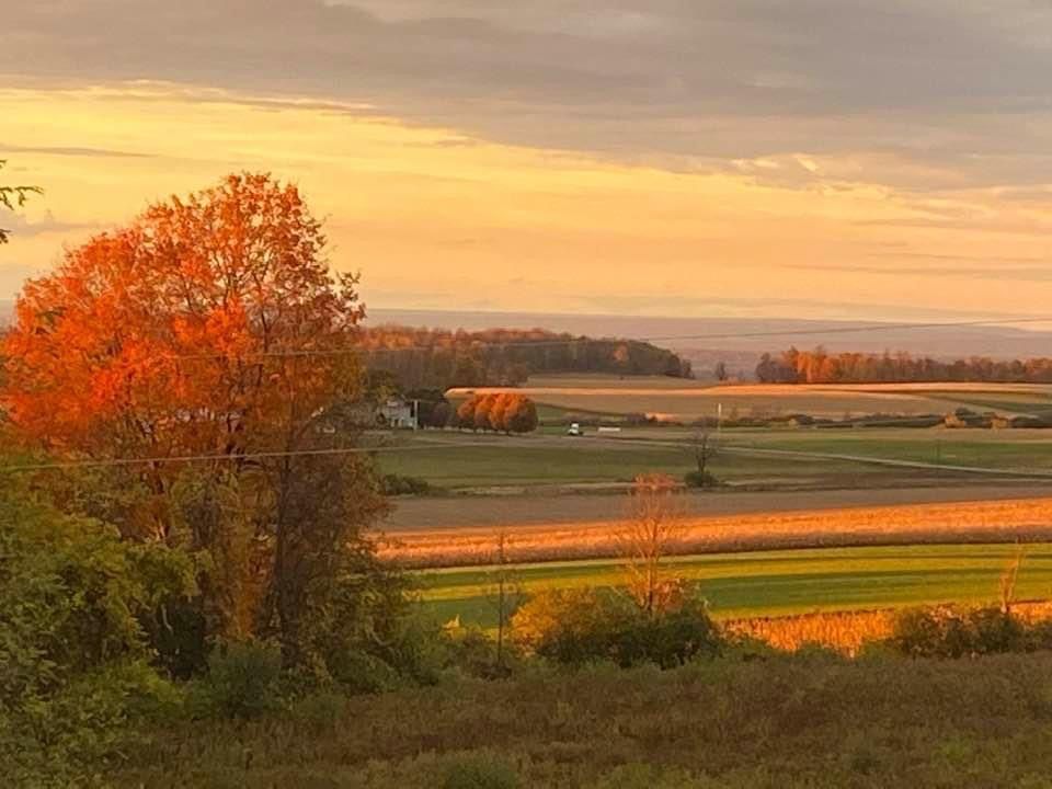 Location Scouting 62