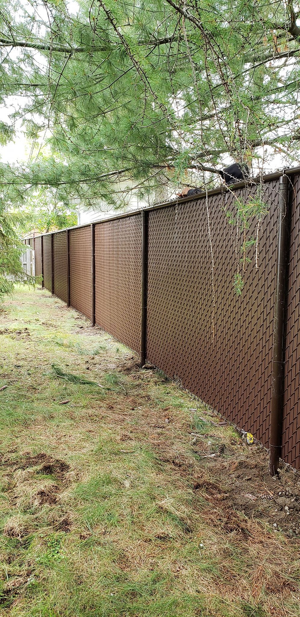 Une clôture brune perforée borde un chemin herbeux, avec des arbres en arrière-plan.