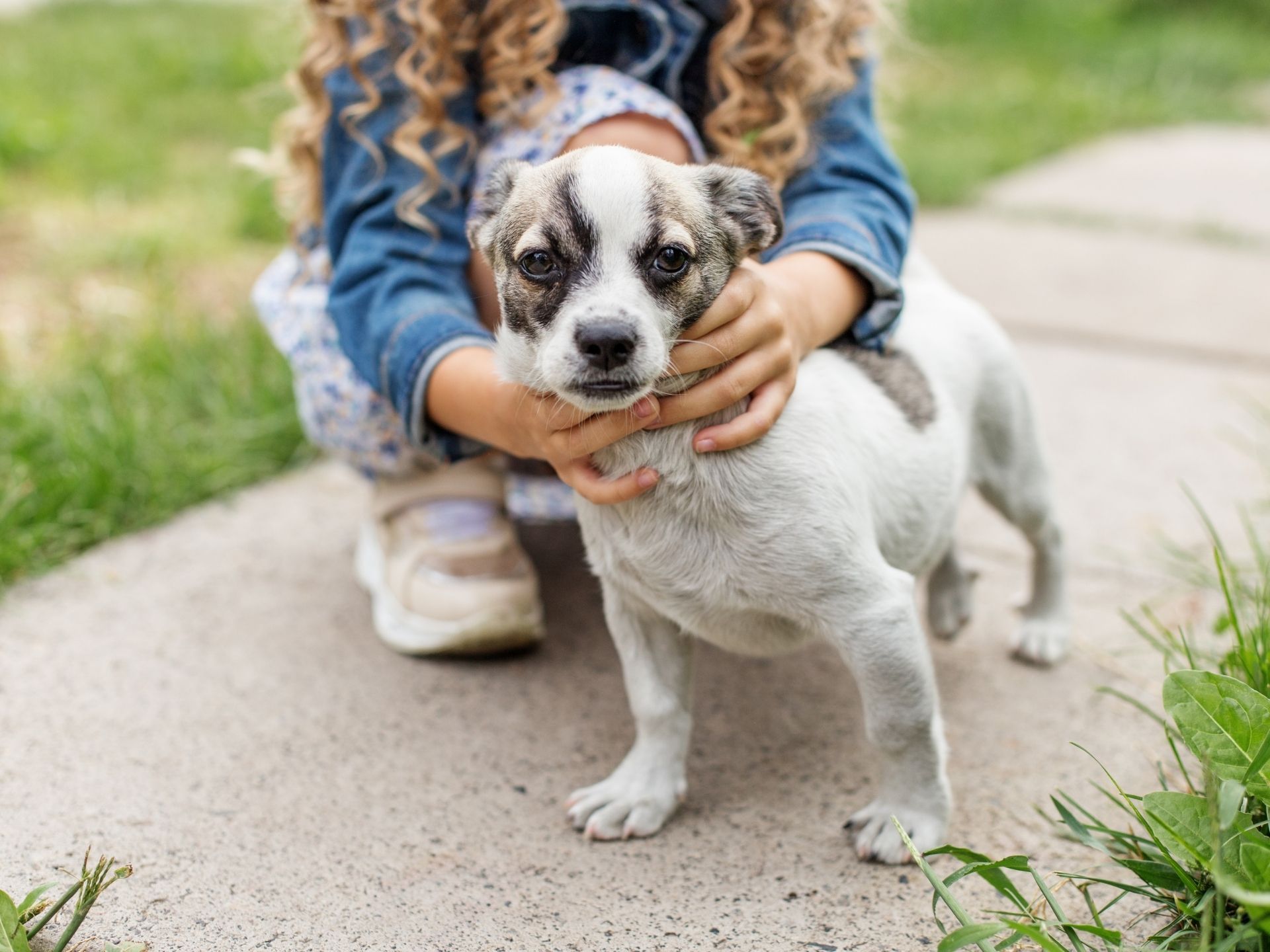 Bite-History Disclosure and Adoption Liability