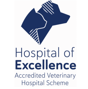 hospital of excellence
