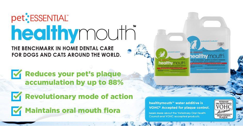 healthy mouth promotion
