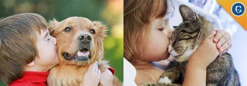 kids kissing dog and cat