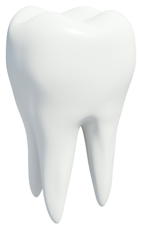 White Tooth — Port Noarlunga, SA — Natural Denture Clinic
