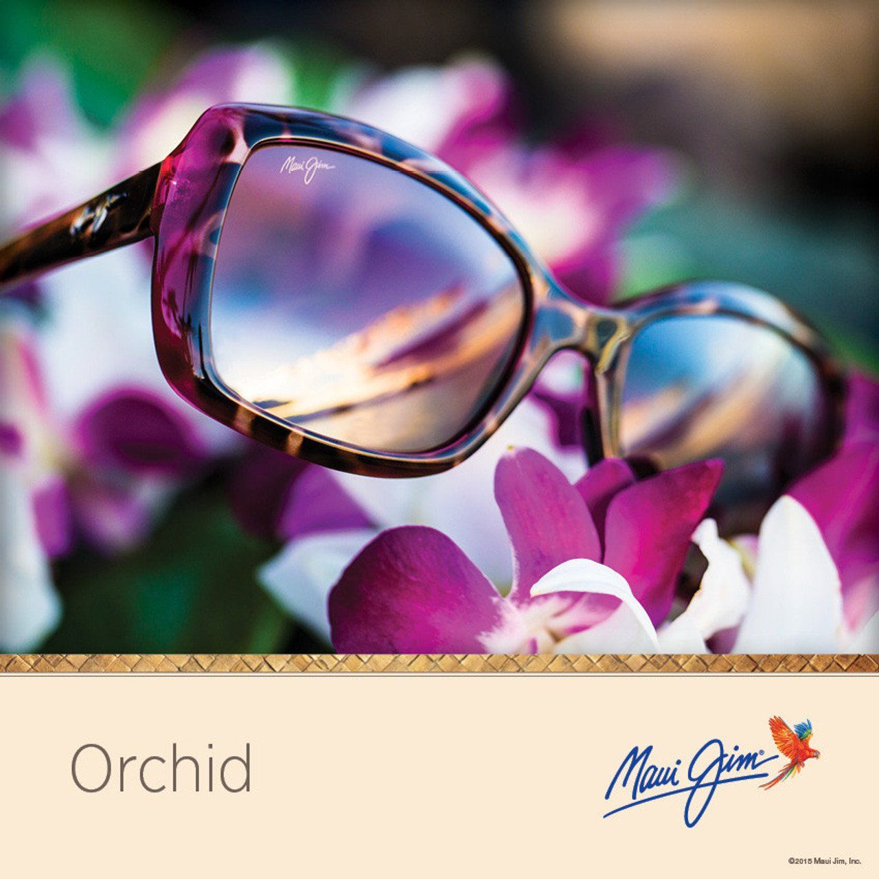 Maui Jim Orchid Sunglasses - Optometrist Expert Care in Coconut Grove, NT