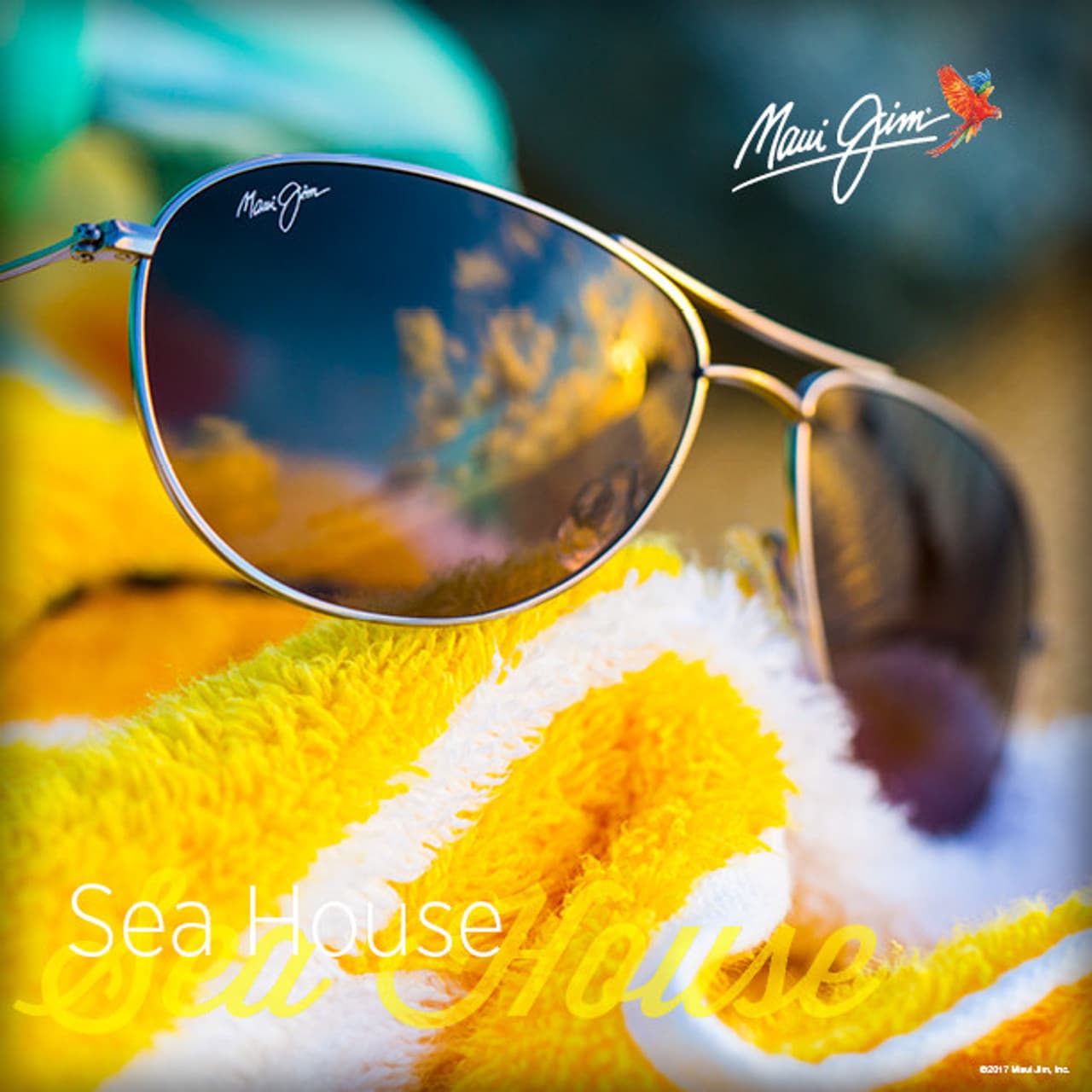 Maui Jim Branded Sunglasses - Optometrist Expert Care in Coconut Grove, NT