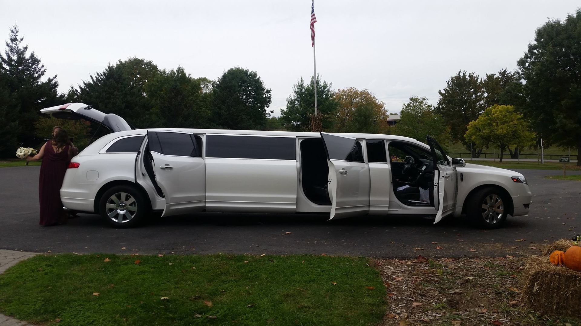 White limousine with open doors and a person standing beside it on a grassy area.