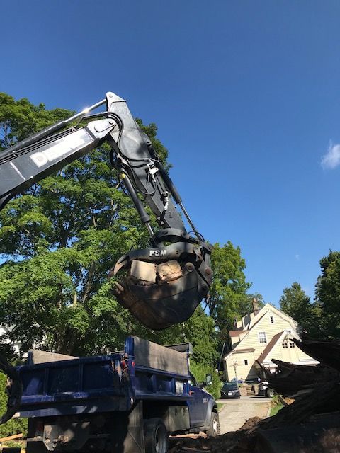 Excavator lifting a large rock into a blue dump truck. Clear sky and trees in the background.