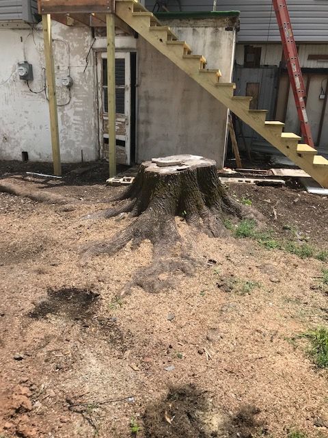 Tree stump in a dirt yard with wooden stairs leading up to a deck and a white doorway.