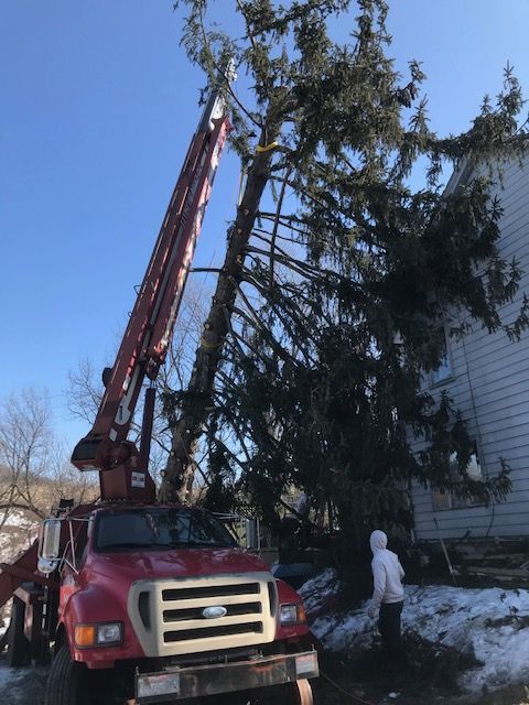 A tree service truck with extended arm cutting a tall tree near a house on a sunny day.