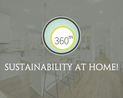 Sustainability at Home - 360 Management Logo