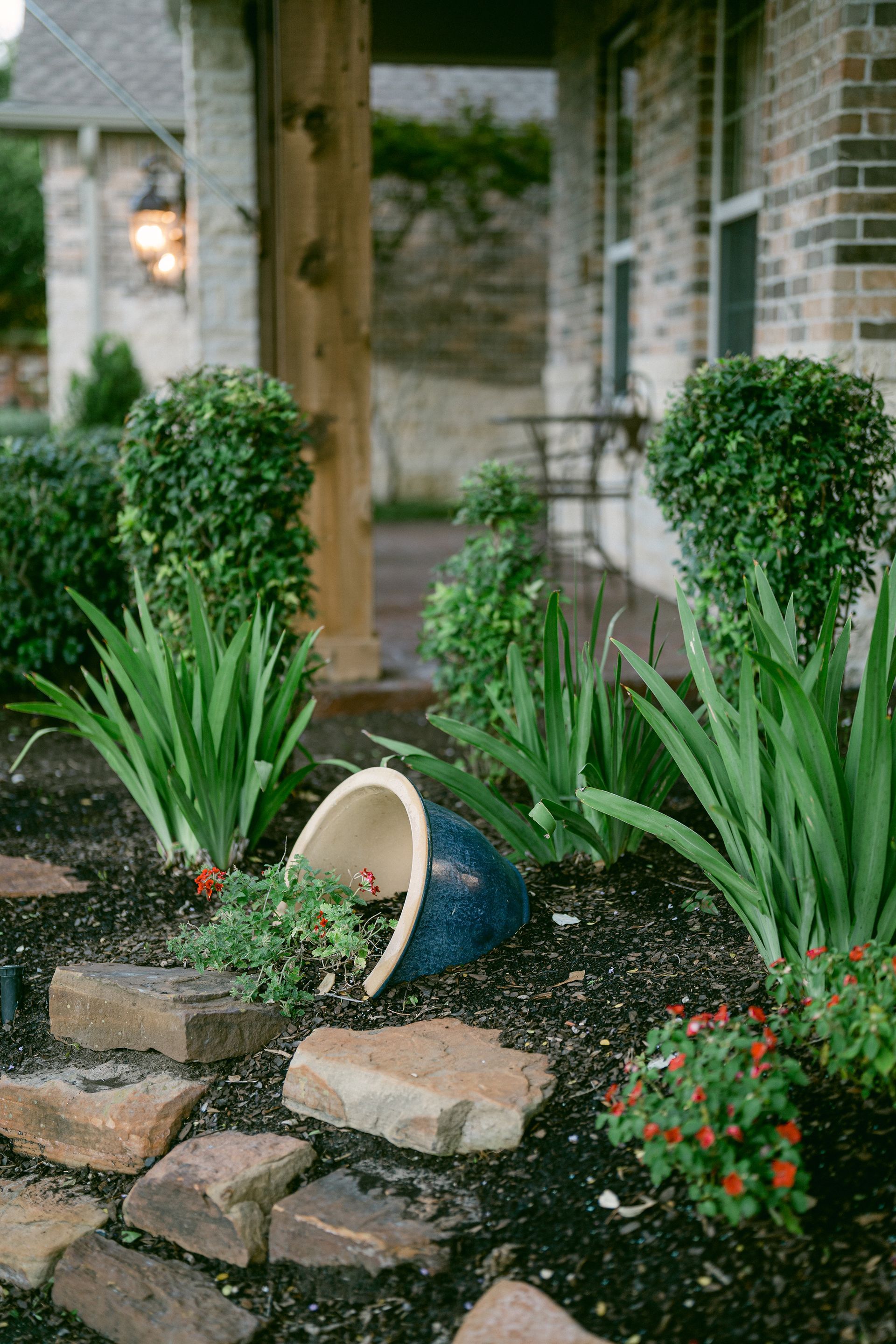 A potted plant is sitting in the middle of a garden in front of a house.
