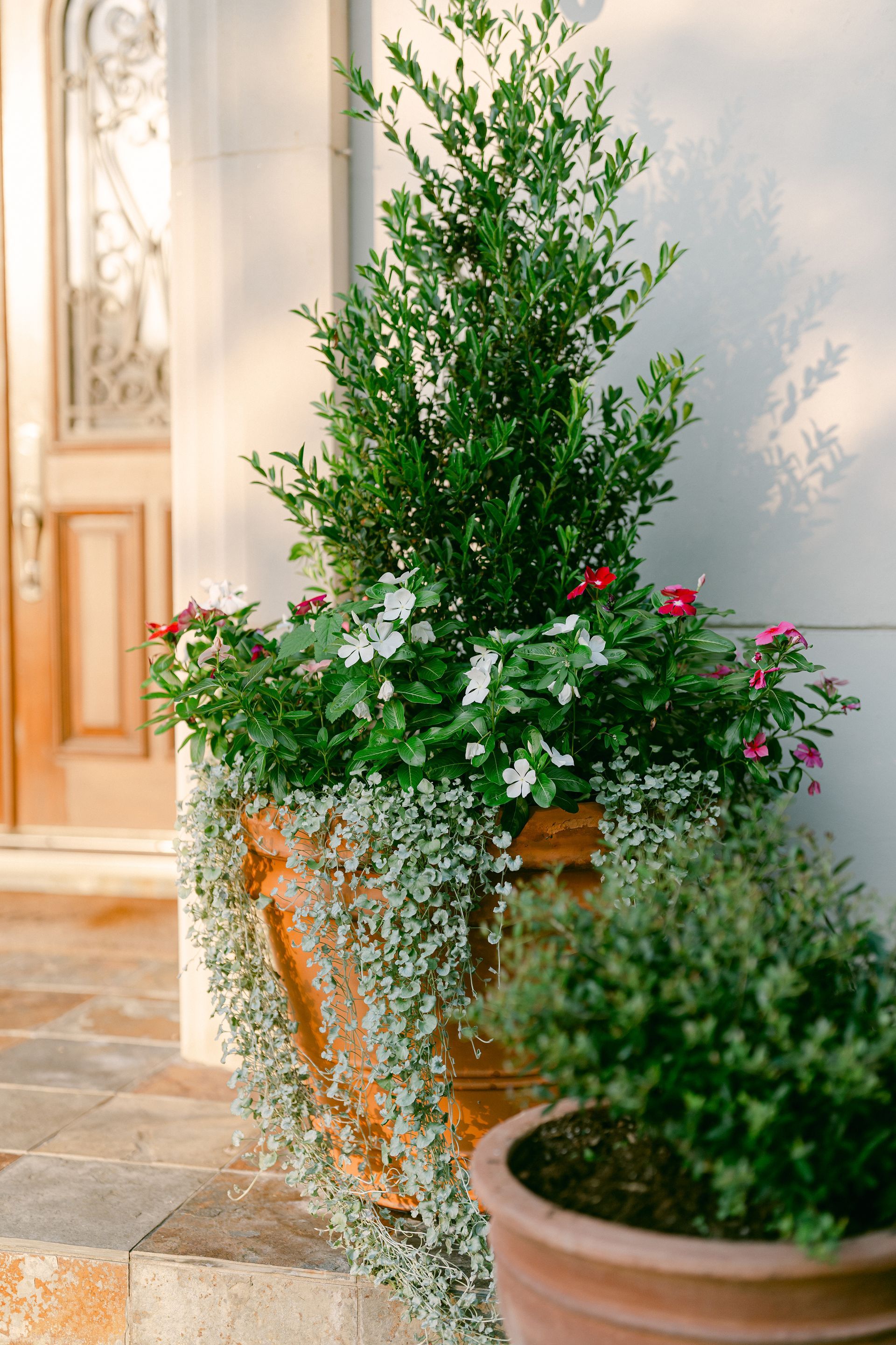 A potted plant with flowers and a tree in front of a house.