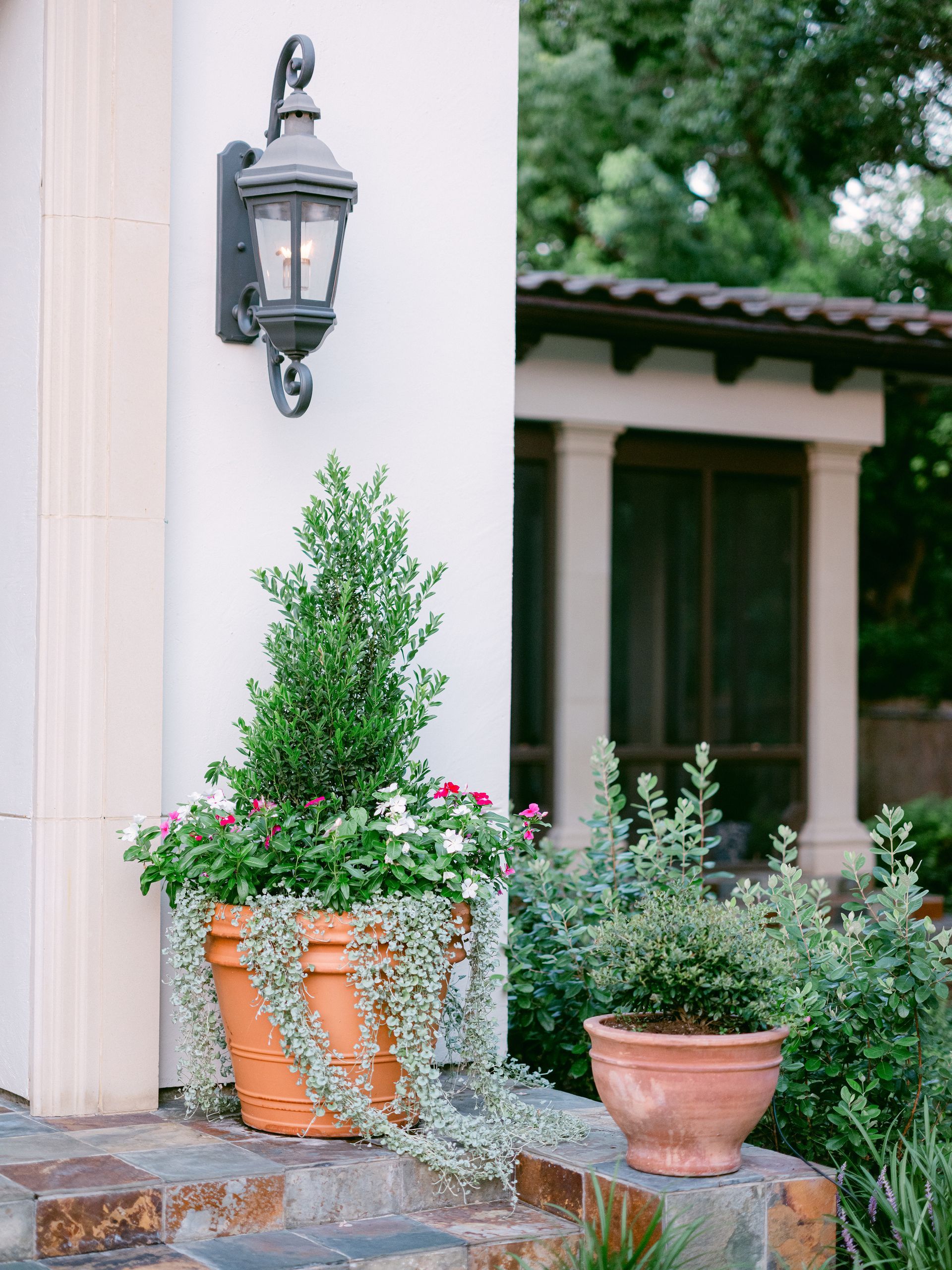 Potted plants are on the steps of a house