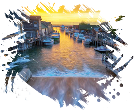 boats