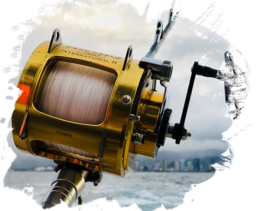 fishing rod