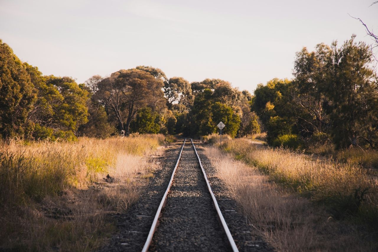 Explore best practices for vegetation management along railways, highways, and utility corridors. 