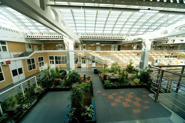 Indoor garden space with raised planting beds, glass ceiling, multiple levels, and staircase in modern school building