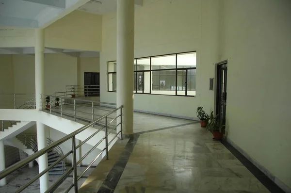 Modern school hallway with concrete floors, steel railings, large windows, and potted plants
