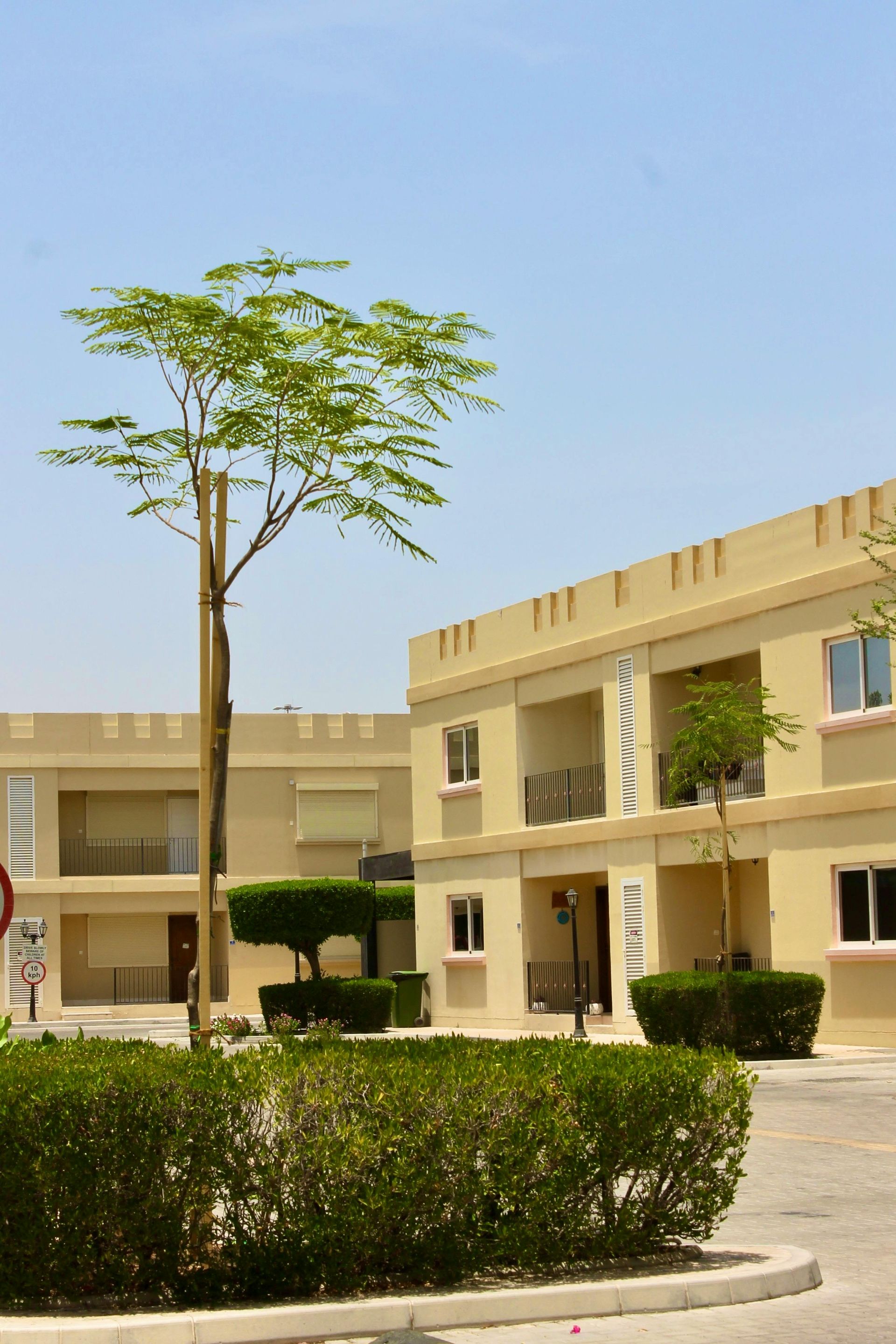 Commercial residential development showcasing general contractor coordination of multi-building construction project.