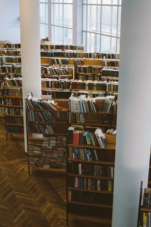 Sunlit library with wooden bookshelves lining walls, filled with books, wooden floors, and large windows