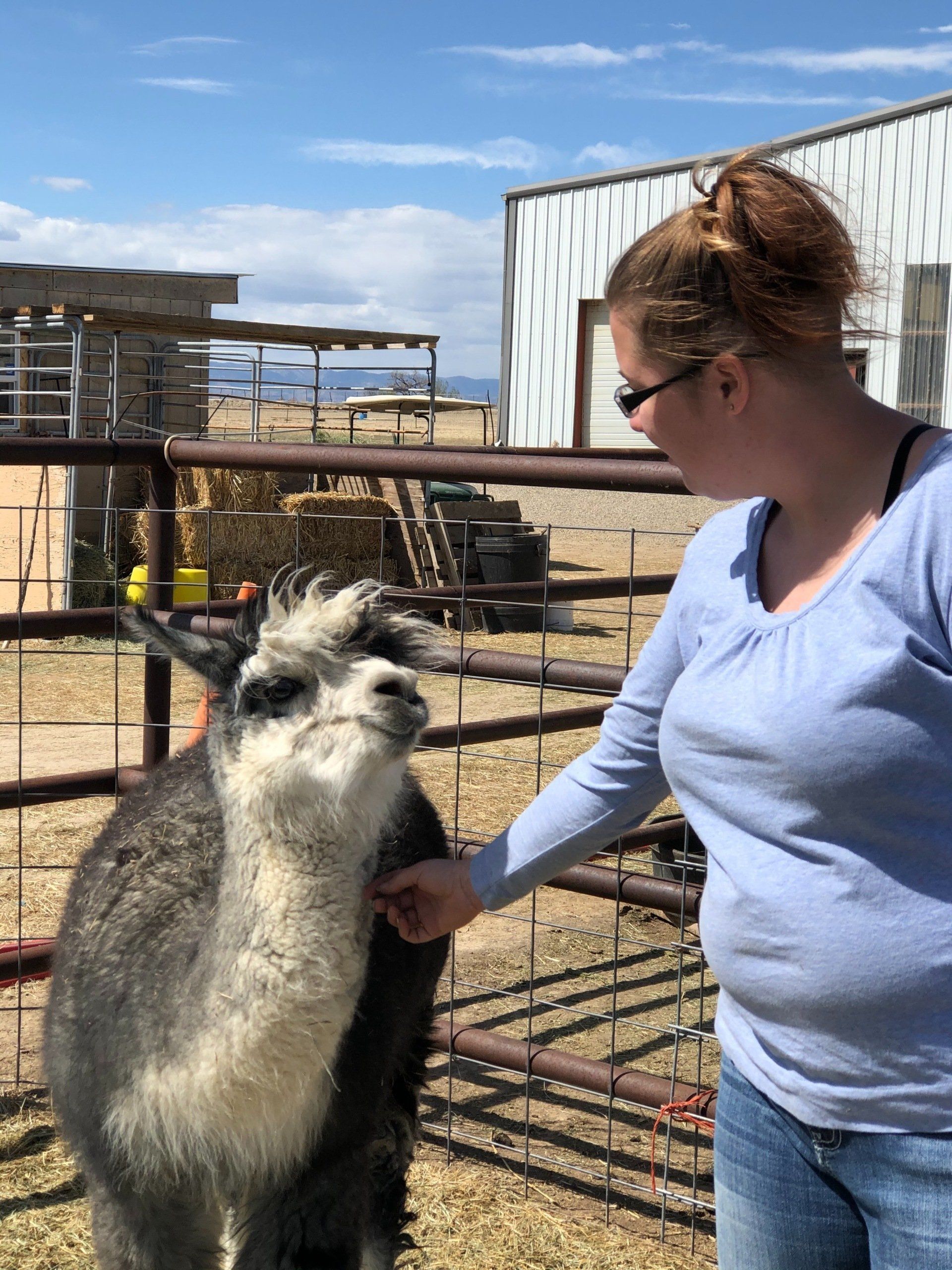 Equine Therapy | Grand Junction, CO