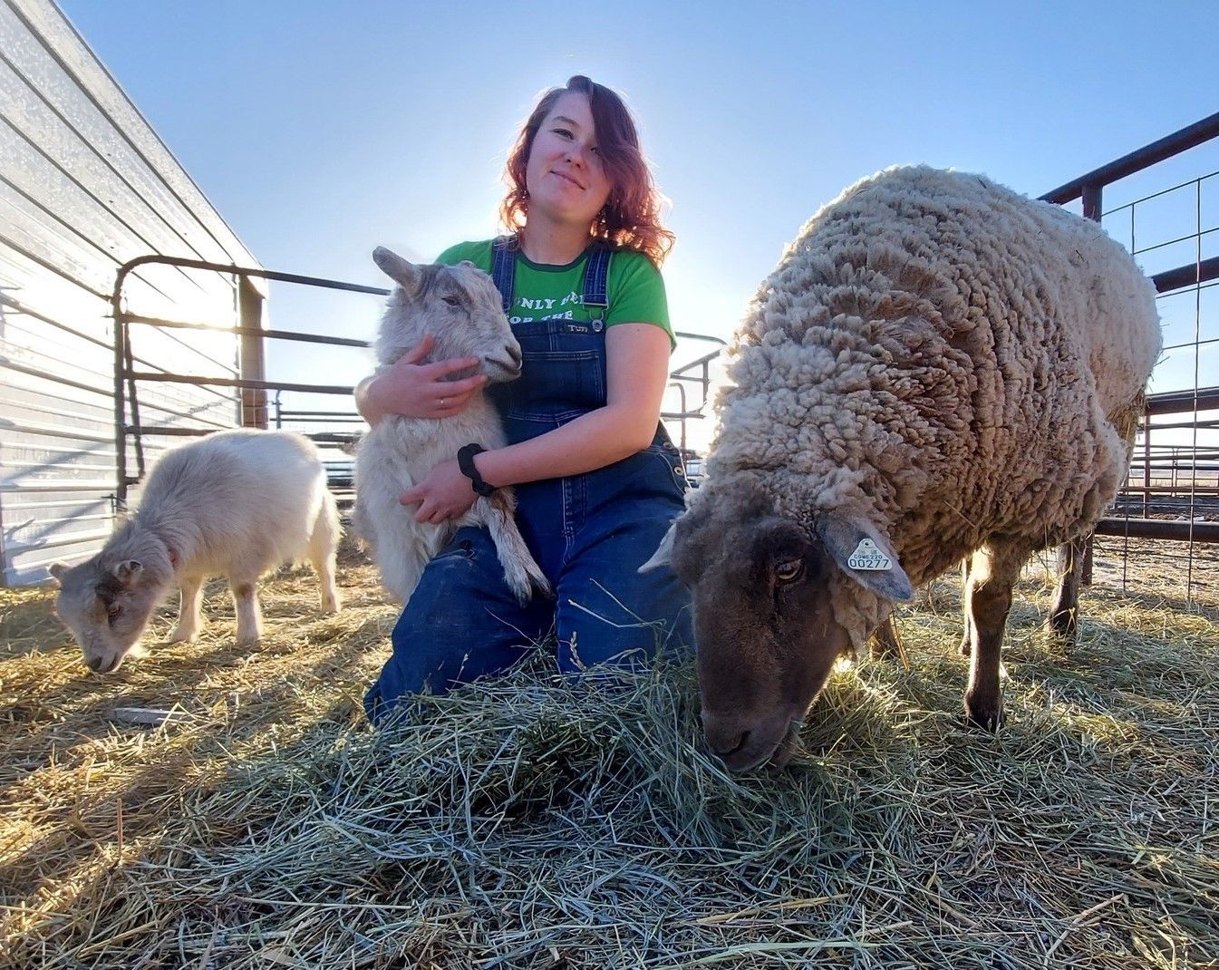 Alarain Barnhart — Fruita, CO — Harmony Acres Equestrian Center