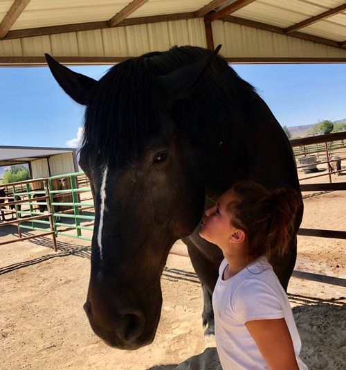 Doc With Kid — Fruita, CO — Harmony Acres Equestrian Center