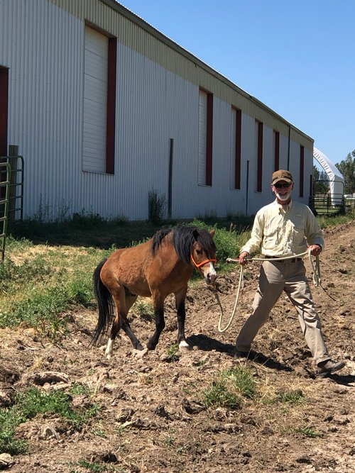 Echo With A Man — Fruita, CO — Harmony Acres Equestrian Center